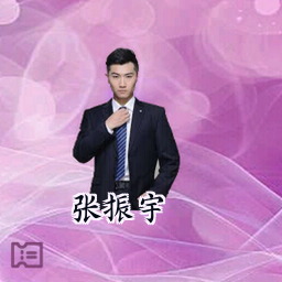 张振宇